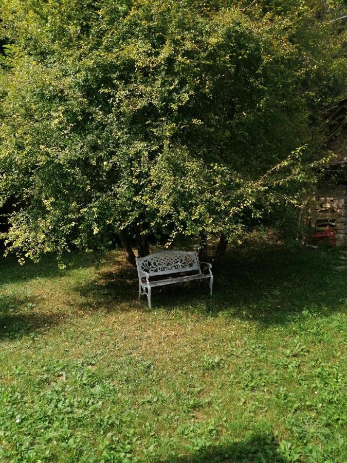 A Casa Di Anna Bed & Breakfast Cortemilia Bagian luar foto